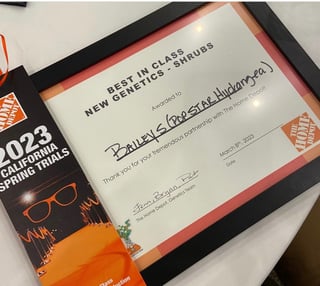 Bailey_THD Award