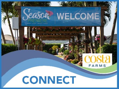 CONNECT_Costa