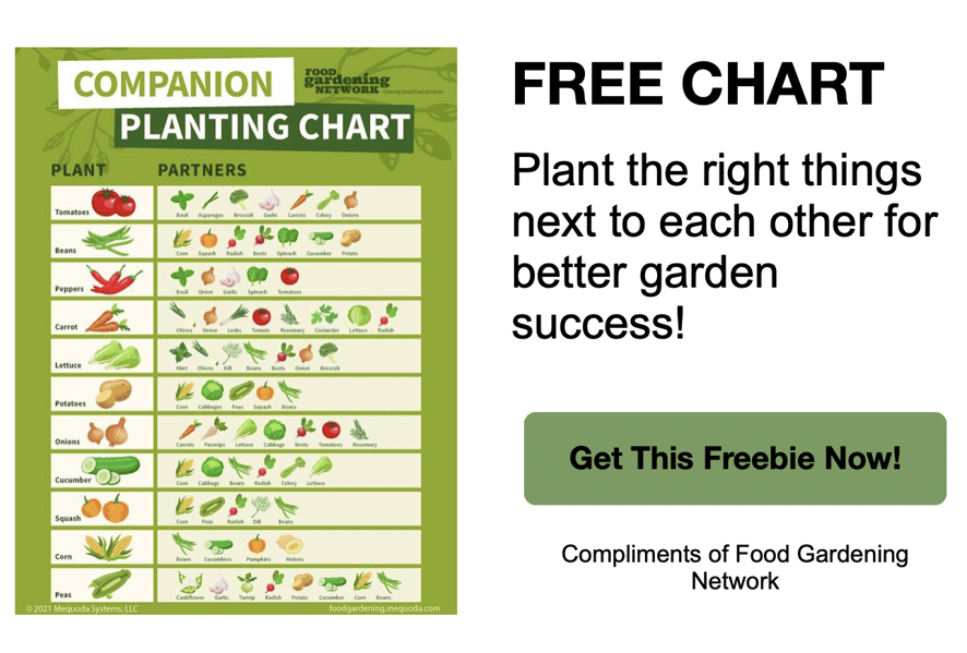 FGN_CompanionPlanting