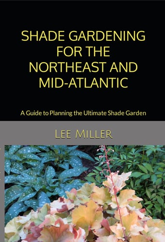 Lee_Miller_image-BOOK-COVER-KINDLE