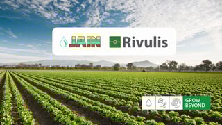 Rivulis_Jain