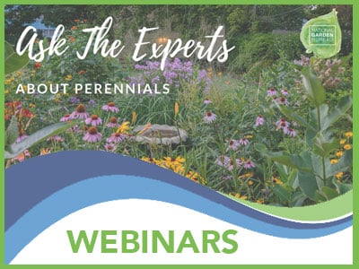 Webinars-ATE_Banner
